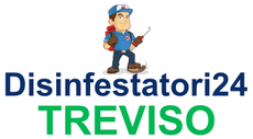 Disinfestatori24 Treviso